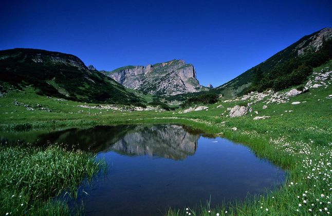 Der Rofanspitz spiegelt sich in der Vormittagssonne in der Zireinerseevorlacke, die von Wollgras umgeben ist.