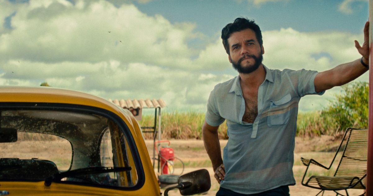 Korruption-Killer-Karneval-Warum-The-Secret-Agent-gute-Oscar-Chancen-hat