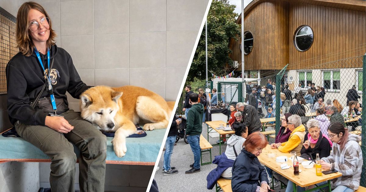 Grund-zu-feiern-beim-Tierheimfest-in-Mentlberg-Hundehaus-endlich-er-ffnet