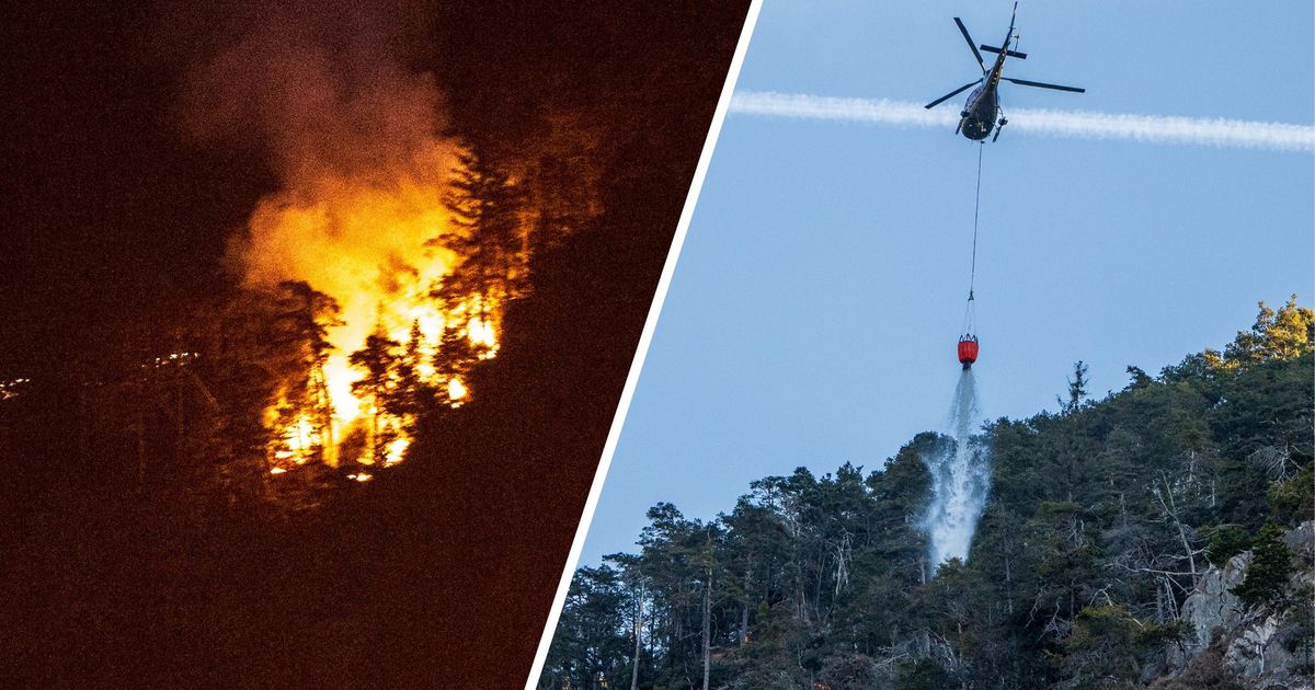 Waldbrand-in-Hochzirl-wohl-durch-Pyrotechnik-ausgel-st-L-scheinsatz-beendet