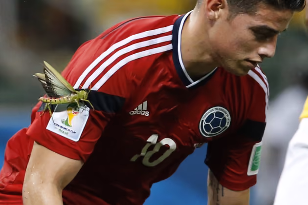 Eine Riesen-Heuschrecke machte es sich auf dem Oberarm von Kolumbiens Jungstar James Rodriguez gemütlich.