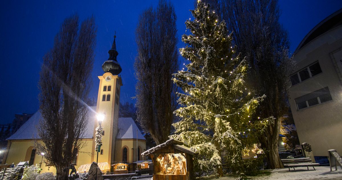 Am-Anfang-war-die-Aufregung-gro-So-kam-der-Christbaum-zu-uns-nach-Tirol
