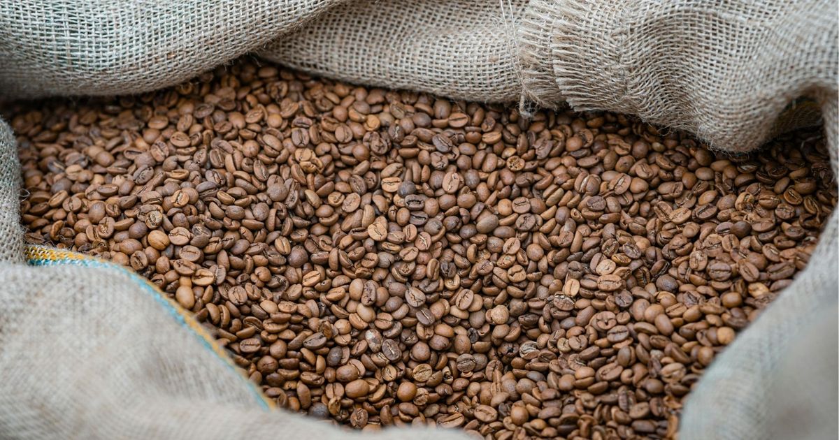Kaffee-Ladung-kam-nie-in-Spanien-an-Tiroler-Spedition-betrogen