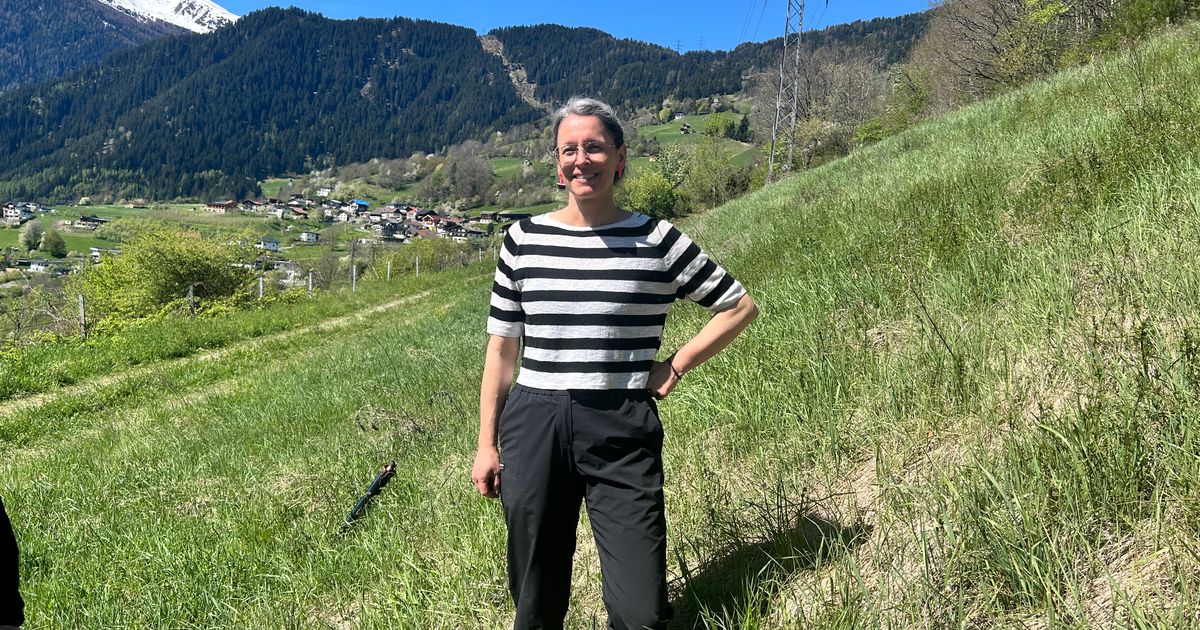 1674-Photovoltaikmodule-geplant-Pianner-Bichl-wird-zum-Sonnenkraftwerk