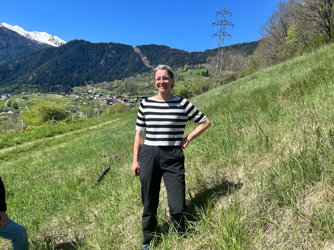 1674 Photovoltaikmodule geplant: Pianner Bichl wird zum Sonnenkraftwerk