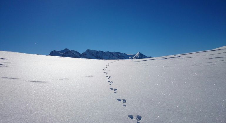 "So muss Winter" sagt Reinhard Troger mit Blick auf den Tuxer Hauptkamm.