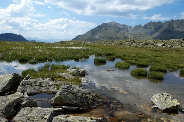 Hochmoor im Kühtai.