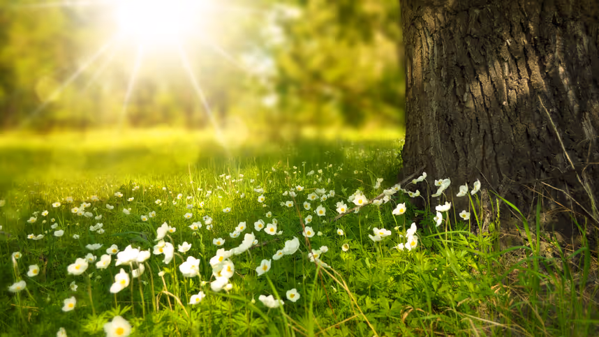 Sonnigstes Ostern seit Jahren: Traumwetter und bis zu 25 Grad in Tirol