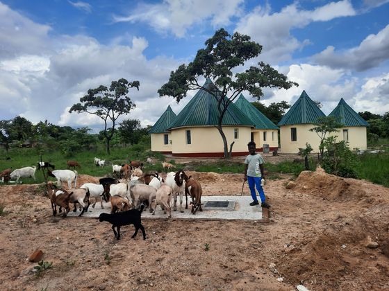 Der ebenfalls in dem Kinderdorf lebende Bauer Sixtus und seine Familie bauen Gemüse und Obst an und halten Ziegen und Hühner. Die Waisenkinder sollen durch die Farm viel über Permakultur lernen, um sich später selbst versorgen zu können.