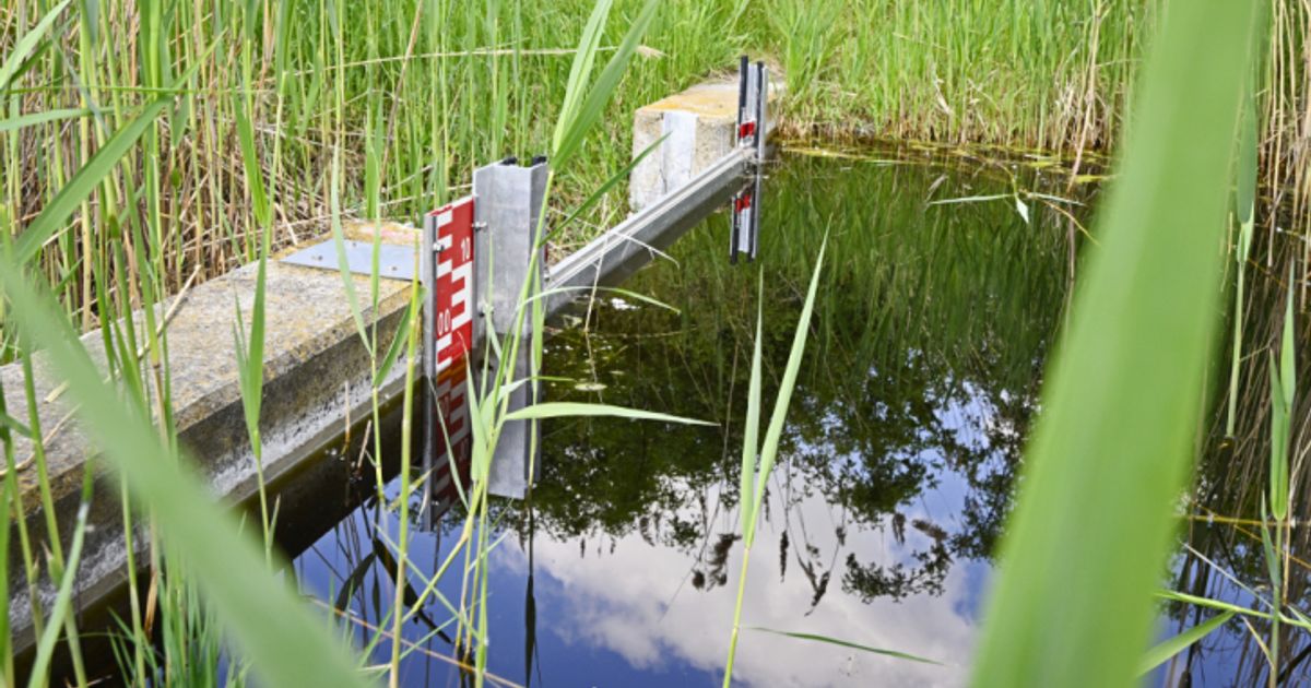 Seewinkel-ringt-um-den-Erhalt-seiner-Salzlacken