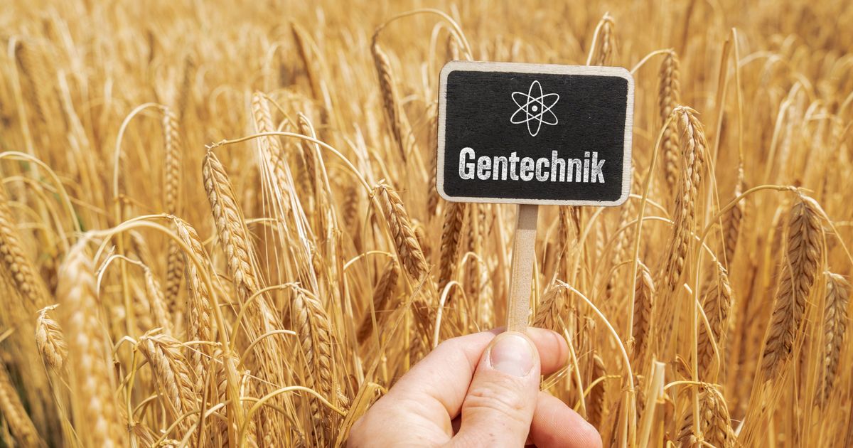 Es-ist-Zeit-an-einem-Dogma-zu-r-tteln