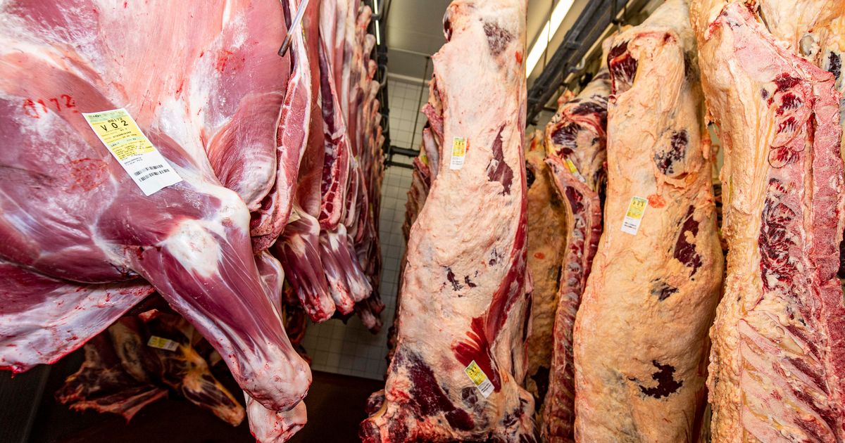 F-nf-Schlachtungen-in-zwei-Jahren-Zammer-Dorfchef-kritisiert-Schlachthof-scharf