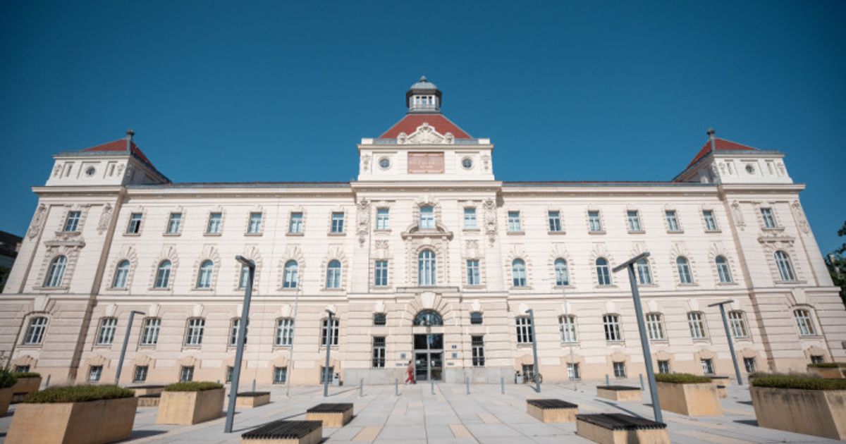 Start-f-r-Mordprozess-gegen-steirischen-Winzer-in-St-P-lten