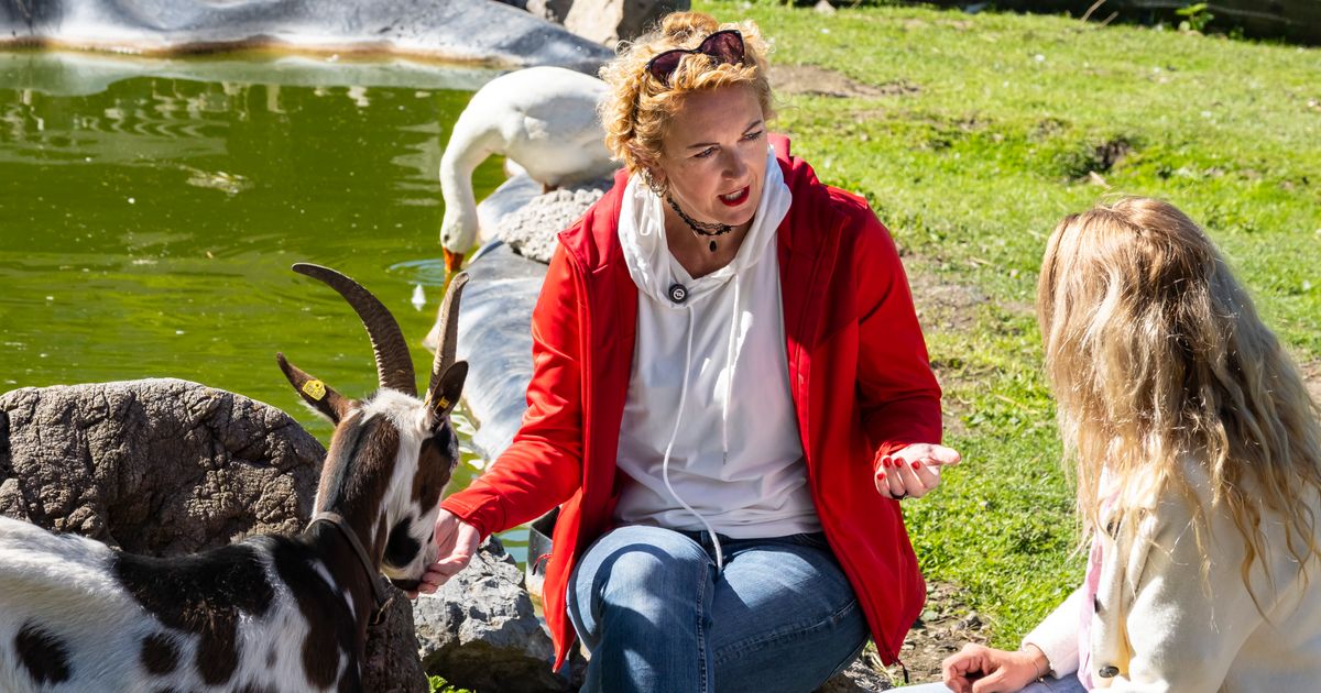 Vom-Huhn-zur-Landwirtschaft-Das-macht-diese-Tiroler-B-uerin-anders-als-die-meisten-Betriebe