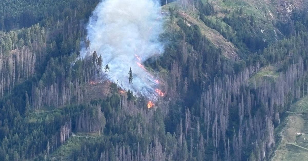 Forest fire in East Tyrol requires numerous emergency services: Several ...