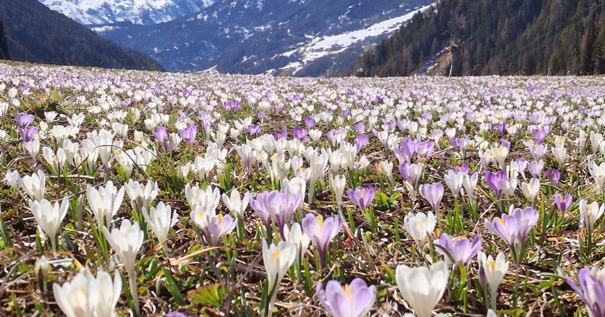 25-Grad-Regen-und-nochmals-Schnee-April-sorgt-f-r-Wetter-Achterbahn-in-Tirol