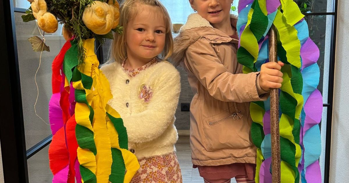 Pr-chtige-Palmbuschen-und-meterhohe-Palmlatten-Schickt-uns-eure-sch-nsten-Fotos