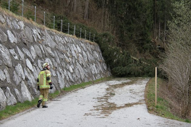 Im Zillertal blockierte ein Baum die Straße in den Ortsteil Bruckerberg (Gemeinde Bruck am Ziller).