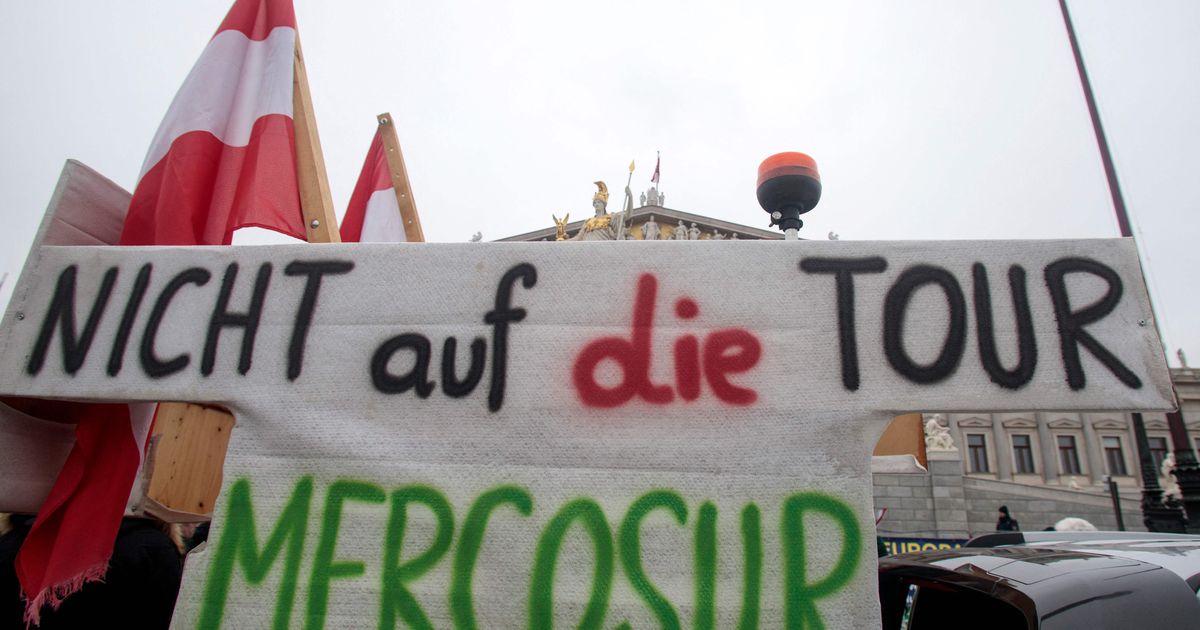 EU states vote for agreement: Path clear for Mercosur