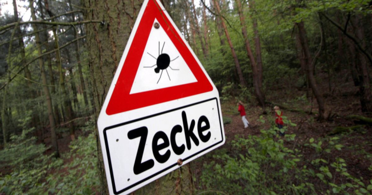 FSME-F-lle-im-Jahresvergleich-leicht-zur-ckgegangen