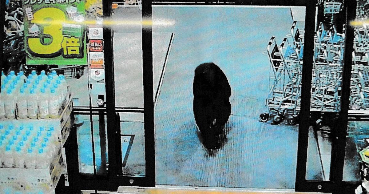 Milit-r-r-ckt-in-Japan-zur-Jagd-auf-B-ren-aus