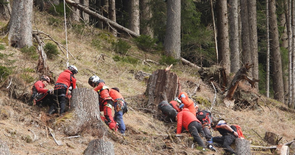 Tragisches-Ungl-ck-bei-Forstarbeiten-58-J-hriger-st-rzt-in-Brandberg-in-den-Tod