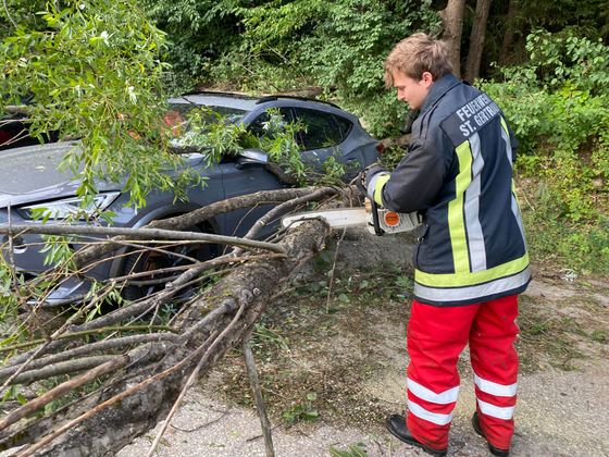 In Sankt Gertraudi stürzte ein Baum auf ein geparktes Auto.