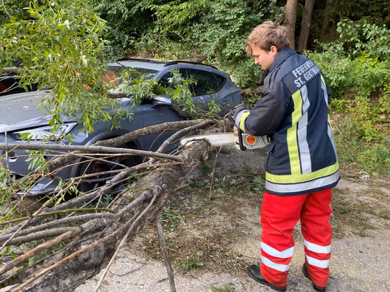 In Sankt Gertraudi stürzte ein Baum auf ein geparktes Auto.
