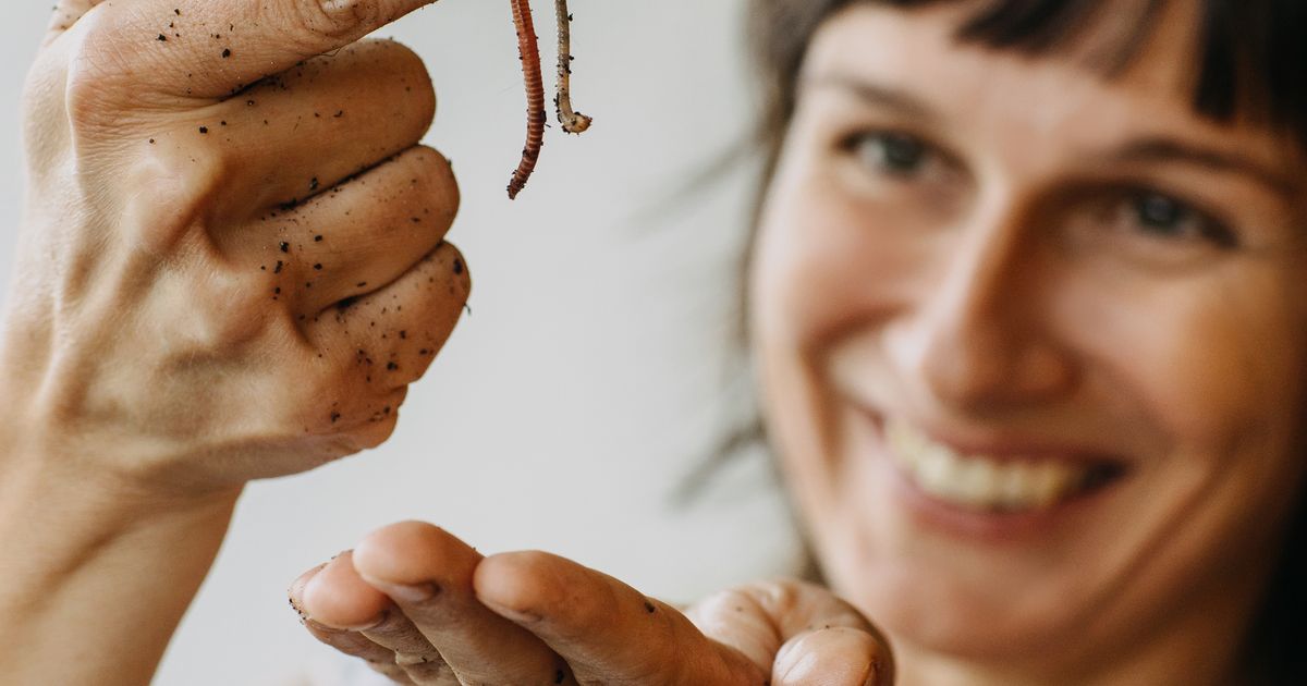 Hier-ist-der-Wurm-drin-So-funktioniert-Kompost-in-Haus-und-Garten