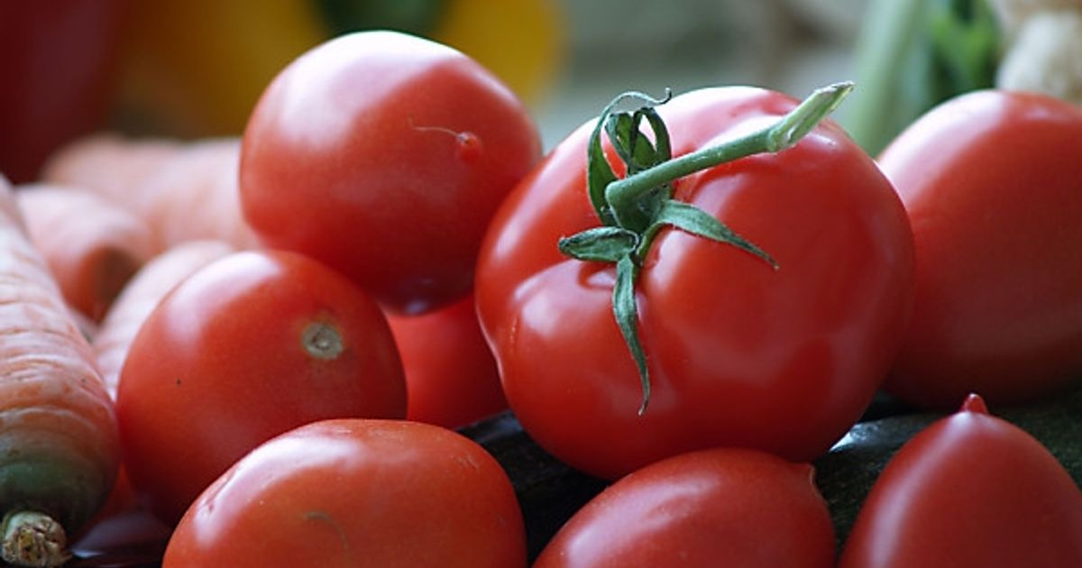 Tomaten-Paprika-Rarit-ten-Pflanzenmarkt-in-Tristach-l-dt-Gartenfreunde-ein