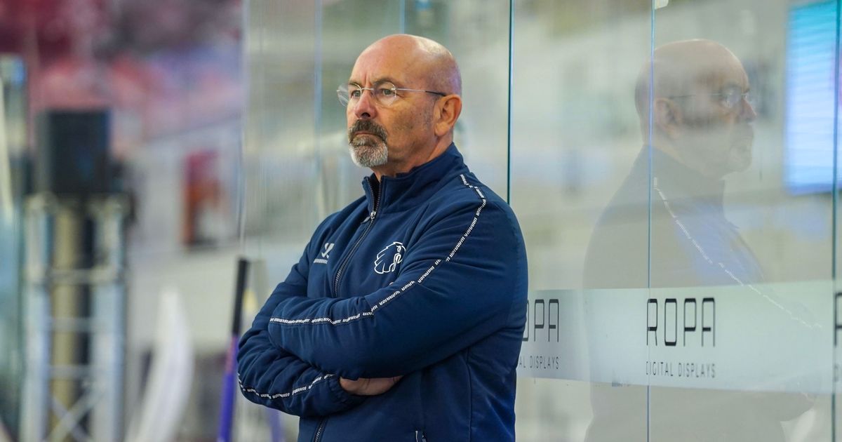 Surprising coaching change: Kitzbühel Eagles part ways with coach Naud