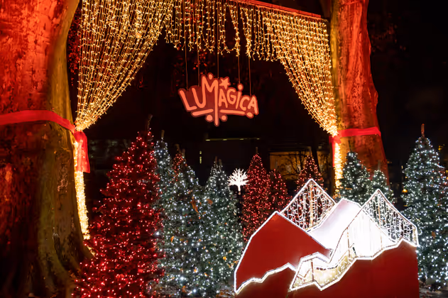 Lumagica ist eröffnet.