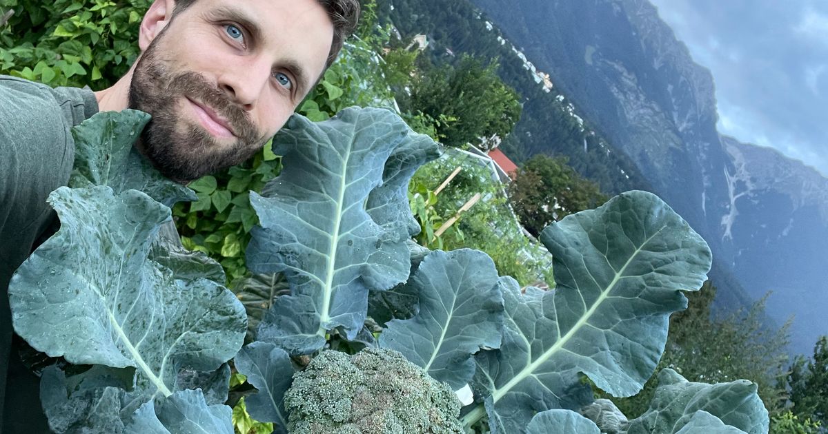 Urban-Gardening-Innsbrucker-Hofgarten-verlost-wieder-80-Beete-f-r-den-eigenen-Anbau