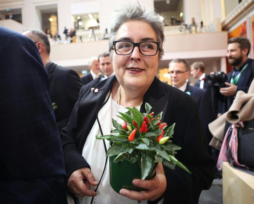 Letztlich folgte der Nationalrat den Usancen und die ehemalige Uniko-Chefin Blimlinger blieb chancenlos. Bloß acht Mandatare außerhalb des Grünen Klubs stimmten für sie, die zu Mittag wie sämtliche andere 182 Abgeordnete vor den Augen von Bundespräsident Alexander Van der Bellen angelobt worden war.