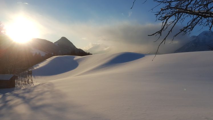 Die unberührte weiße Pracht hat Claudia Kammerlander bei ihrem Spaziergang in Reith im Alpbachtal entdeckt.