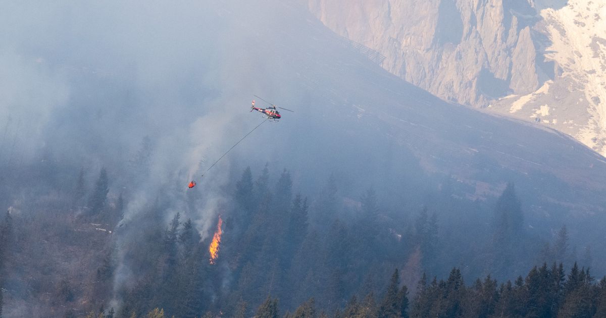 Nach-gro-em-Waldbrand-auf-der-Nordkette-Erweitertes-Verbot-f-r-Feuerwerke-in-Tirol