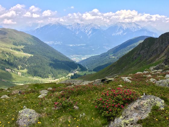 Inzinger Alm auf dem Weg zum Hundstalsee.