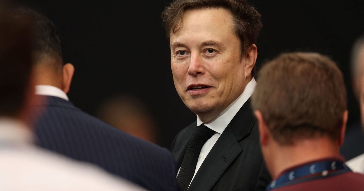 Musk-will-Wikipedia-Konkurrenz-machen
