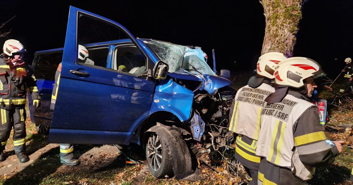 Stark-alkoholisiert-und-viel-zu-schnell-Kastenwagen-prallte-in-Lienz-gegen-Baum-drei-Verletzte