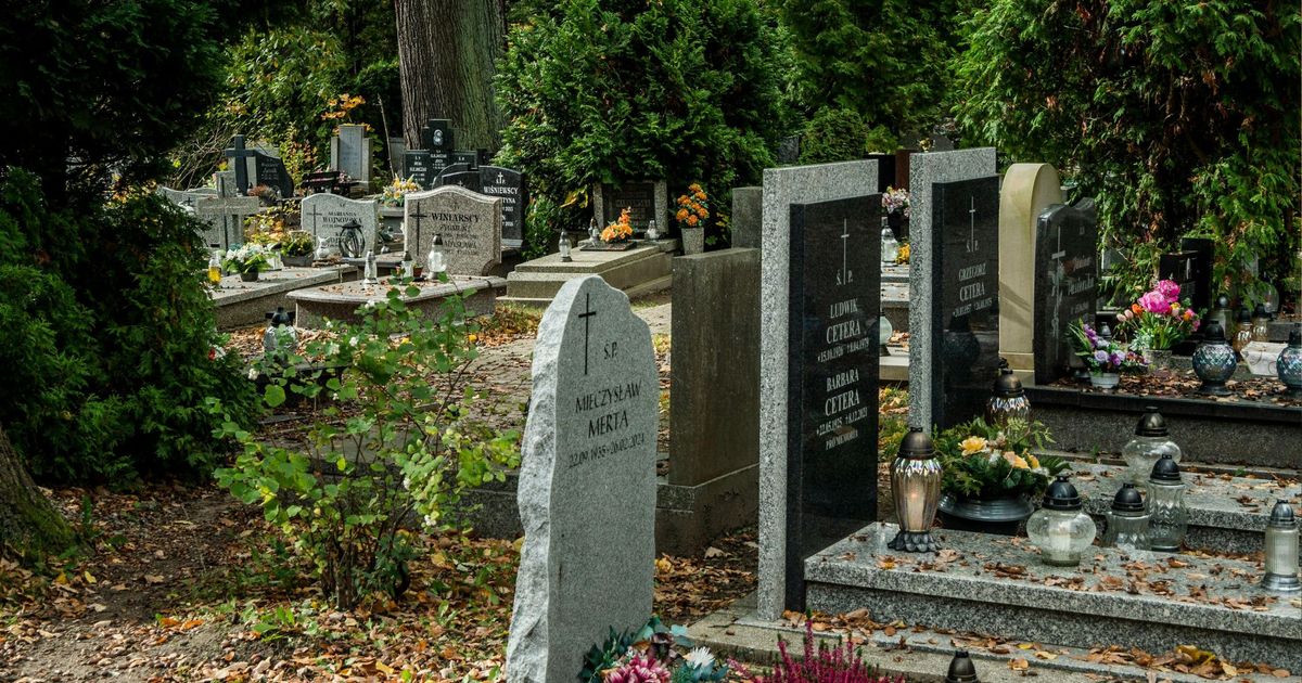 Makaberes-Verbrechen-Grabsch-nder-stahlen-Goldz-hne-von-Toten