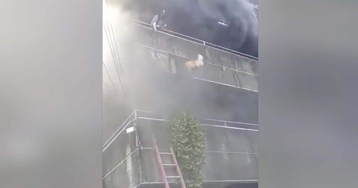 In-der-Rauchh-lle-gefangen-Frau-wirft-ihre-Hunde-vom-Balkon