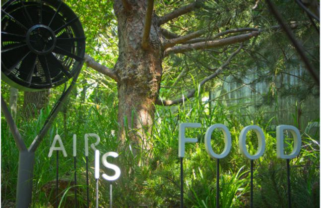 Österreichs Auftritt bei der EXPO widmet sich dem Lebensmittel Nummer eins: der Luft.