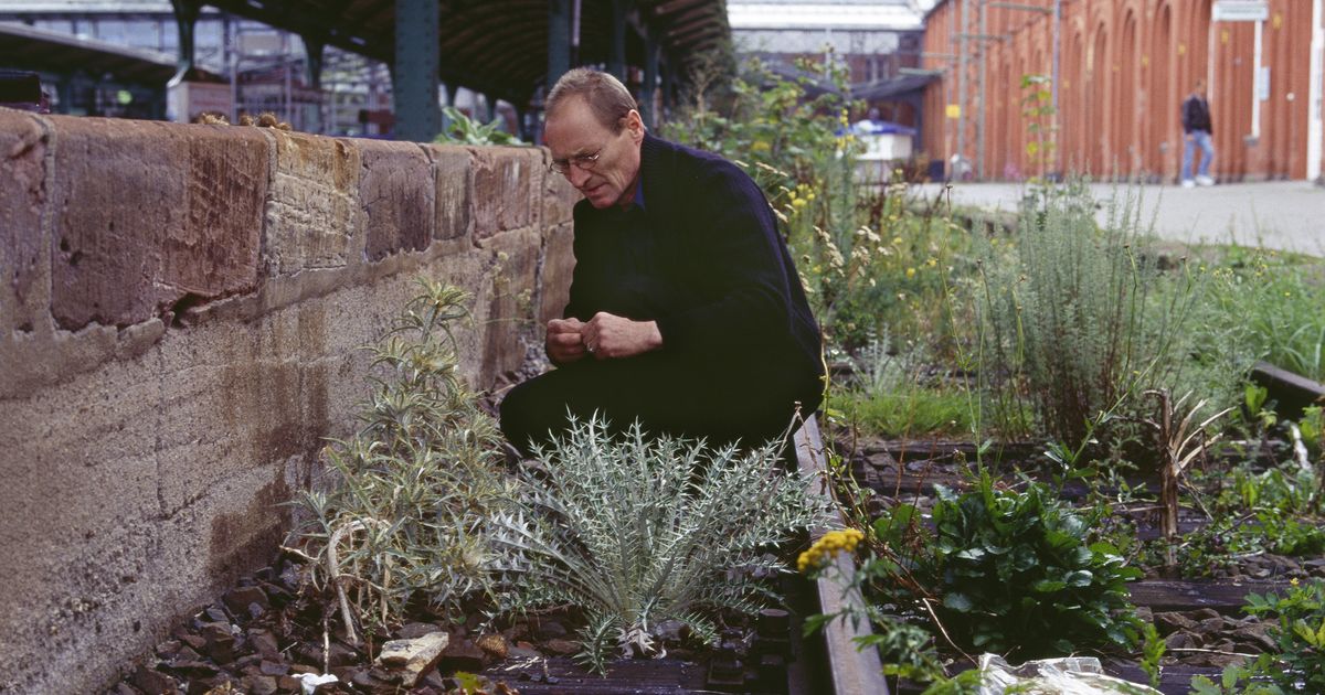 Film-ber-Lois-Weinberger-Ann-herung-an-einen-am-Feld-arbeitenden-Poeten