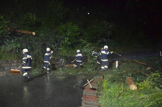Mehrere Bäume stürzten in Hopfgarten im Brixental auf die Grafenweger Landesstraße.