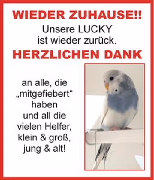 gratulation